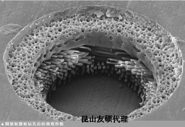 陇南蔡司陇南扫描电镜